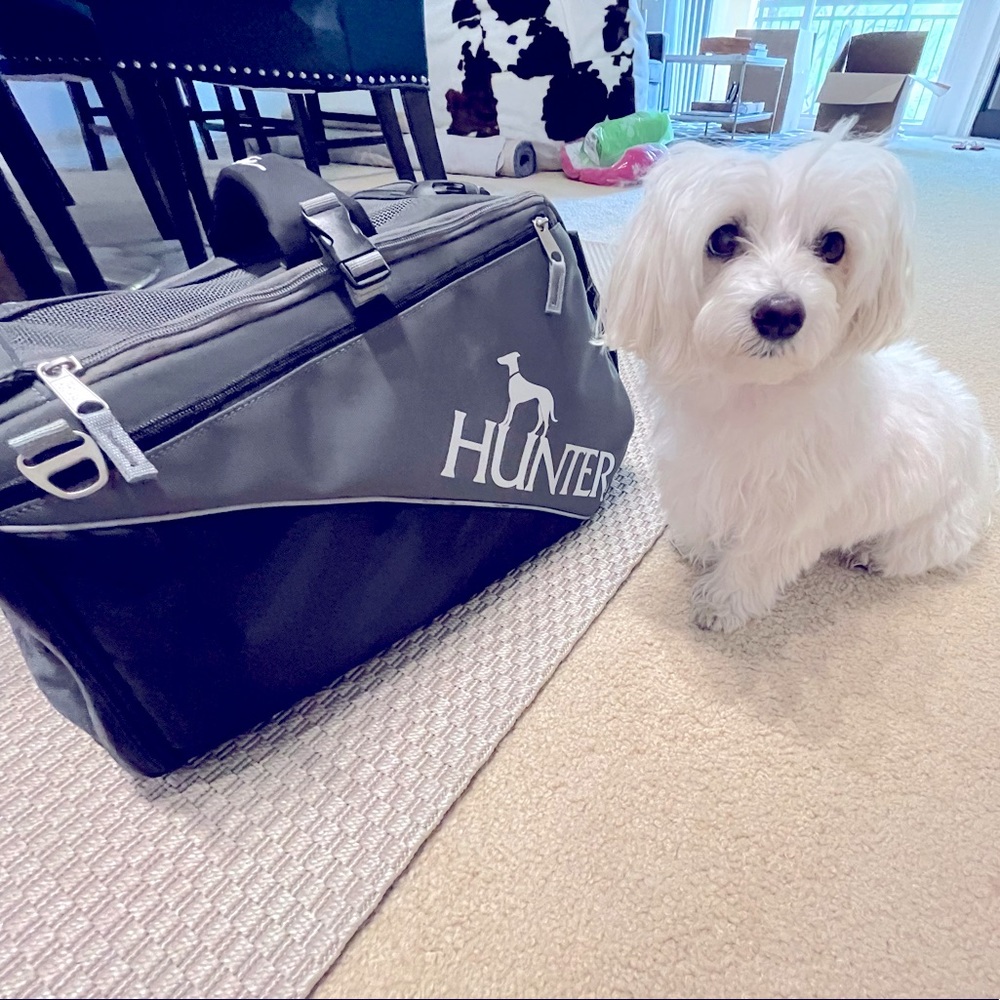Dog carrier HUNTER - SKIEN | as new